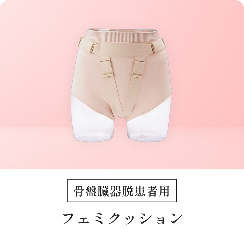 フェミクッションの写真