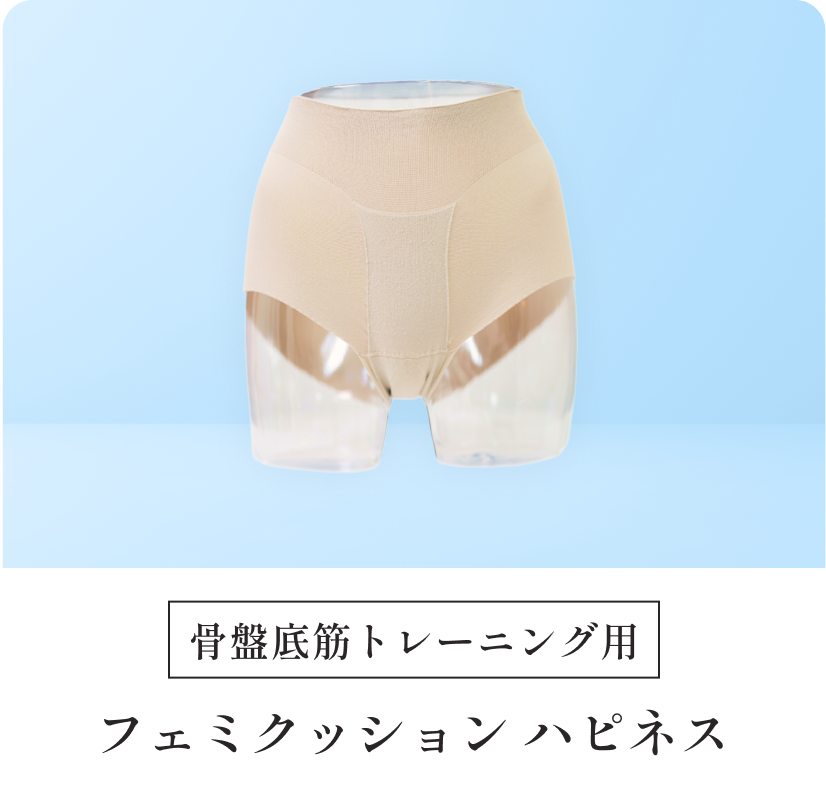 フェミクッションハピネスの写真
